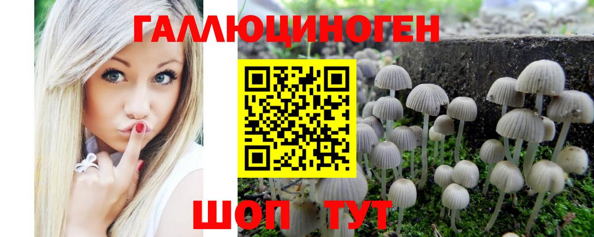 наркошоп  Псилоцибиновые грибы мухоморы  Вход с VPN  Назрань 